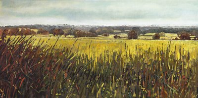 Towards Riseley, 2012 by Helen White